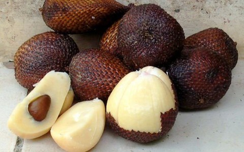 Ăn salak hãy nhớ đến Indonesia