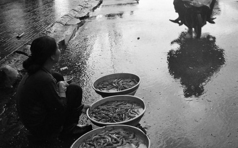 Nghệ sĩ đương đại trẻ và "Trên trời rơi xuống"
