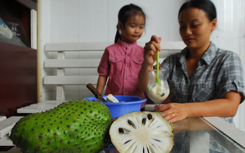 Mãng cầu trị ung thư?
