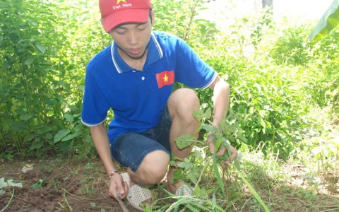 Thần đồng quê lúa
