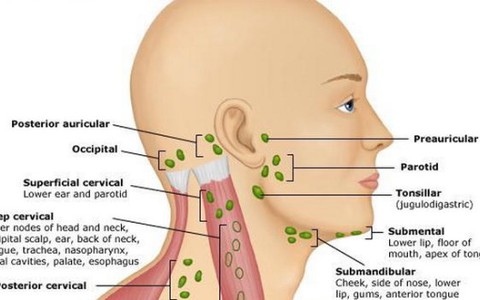 Có hạch dưới hàm nên nội soi vùng mũi họng