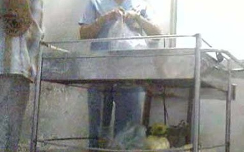 Tạm đình chỉ nhân viên móc nối với “cò”