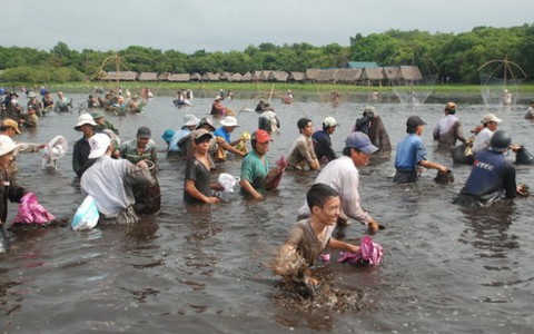 Độc đáo ngày hội "phá trằm" Trà Lộc