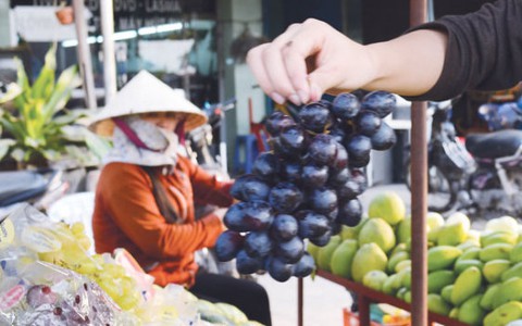 Tiêu điểm sáng: Dán tem Mỹ cho trái cây Trung Quốc