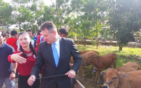 Trao tận tay hàng trăm con bò cho bà con Tây Nguyên