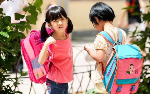 462 tỷ đồng biên soạn chương trình - SGK mới