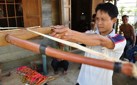 ​Gia đình cung thủ