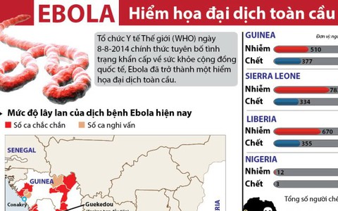 Thế giới đang bị Ebola qua mặt