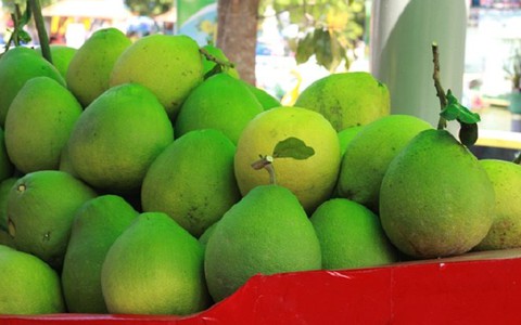 Đồng bằng sông Cửu Long trồng thêm 25.000ha bưởi đặc sản