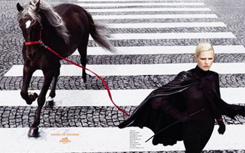 Hermès: Người Đức xây dựng chuẩn mực quý tộc Pháp