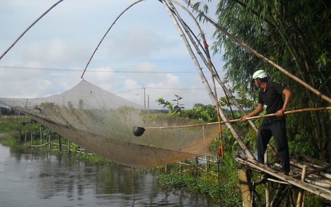 ​Mặn mà cá mại ngày mưa