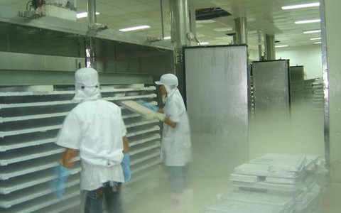 Cắt giảm sử dụng môi chất HCFC – 22 để bảo vệ môi trường