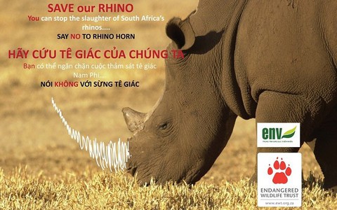​TP.HCM giáo dục học sinh bảo vệ tê giác