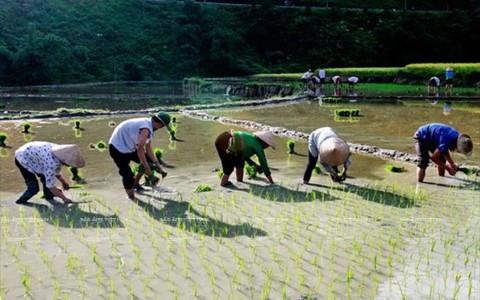 ​Đến Lũng Vân – nóc nhà xứ Mường