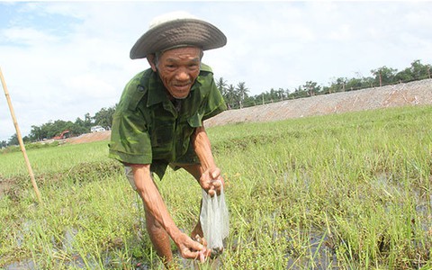 Thời tiết bất thường: Nông dân miền Trung lo lắng