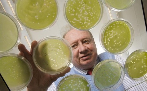 Phát hiện virus ở họng làm giảm trí tuệ