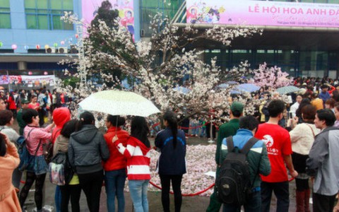 Lễ hội Nhật Bản tại Việt Nam 2014
