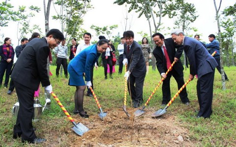 Trồng hoa anh đào tại Quảng trường Hồ Chí Minh