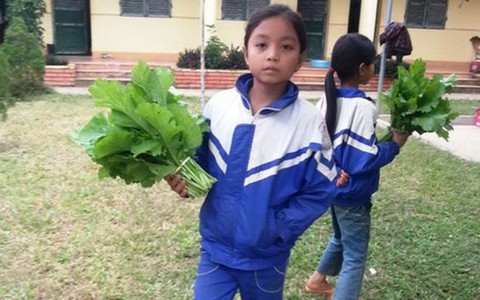 Quà tặng thầy cô là rau, măng, hoa dại