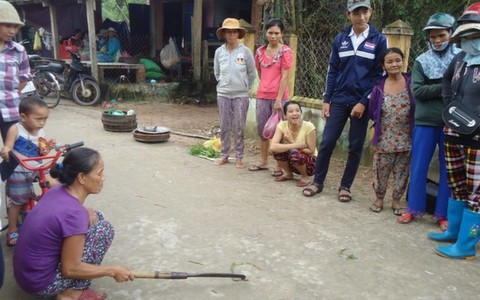 Điểm tin: Rắn lục đuôi đỏ xuất hiện tràn lan ở Quảng Nam