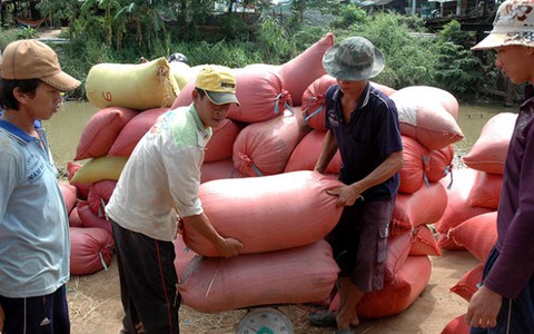 Những nông dân “kiểu mới”