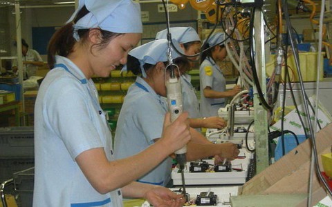 Cử nhân tiếng Nhật, muốn tham gia làm việc tại Nhật?
