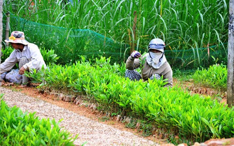 ​Lấy công chuộc tội