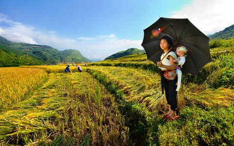 Đợi mẹ
