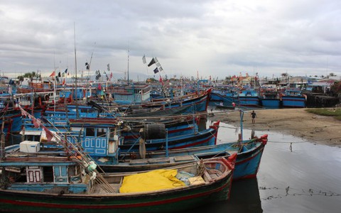 Ninh Thuận hoãn họp HĐND đối phó bão số 5