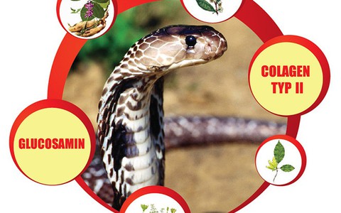 Thói quen xấu làm giảm “tuổi thọ” xương khớp
