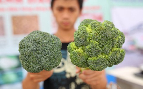 “Quà thông tin” làm mát lòng các bà nội trợ