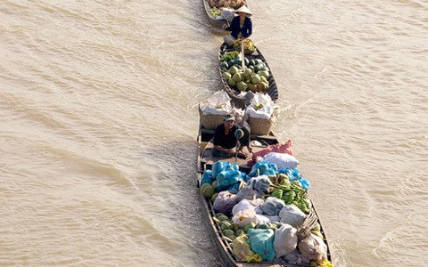 “Tận hưởng bản sắc Việt”: Sản phẩm miệt vườn