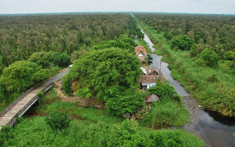 Tạm đóng cửa rừng tràm U Minh Hạ đề phòng cháy rừng