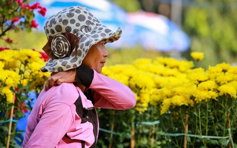 Lạy trời... được một mùa hoa