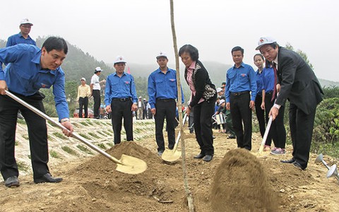 Phát động Tết trồng cây tại khu mộ Đại tướng Võ Nguyên Giáp