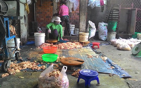 ​Bảo đảm an toàn thực phẩm mùa lễ hội năm 2015