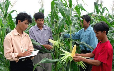 Xây dựng chuẩn nghèo mới cho giai đoạn 2016 - 2020