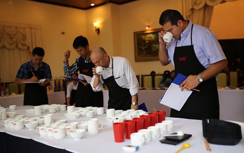 Nông dân Đà Lạt thi cà phê ngon