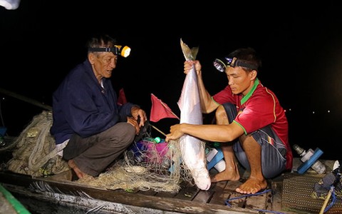 Săn cá bông lau trên sông Vàm Nao