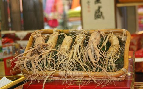 Phát hiện sản phẩm nhân sâm... không có sâm