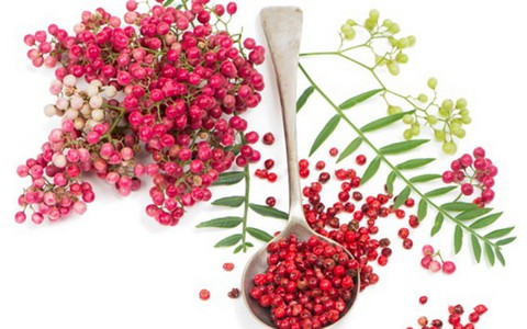 Kem tan mỡ: xu hướng làm đẹp mới hay “mê hồn trận”?