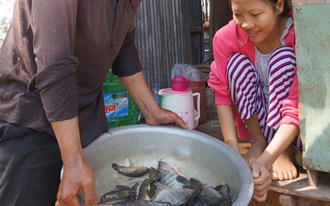 Cổ tích giữa đồng bưng