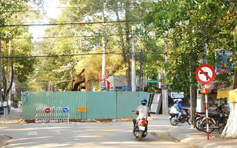Nơi cây xanh sống bình yên