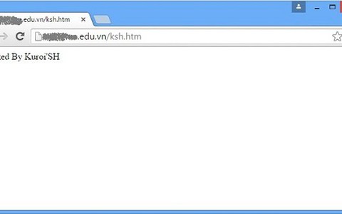 89 website Việt Nam bị tấn công