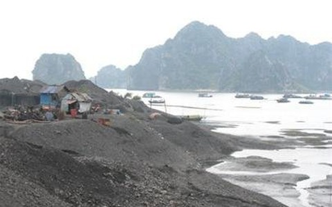 Xác minh vụ chôn giấu hàng chục ngàn tấn than
