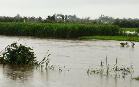 Lũ trái mùa tại Quảng Ngãi, hai người chết