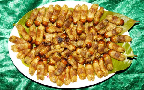 Đuông - món ăn sành điệu miền Tây