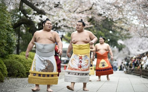 Xem đô vật sumo cận cảnh trên võ đài đền Yasukuni