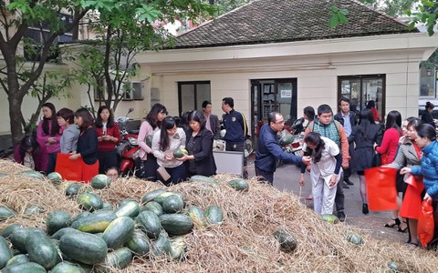 Công chức Bộ Công thương bán dưa hộ nông dân