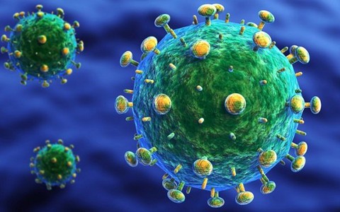 ​Tìm ra kháng thể giúp giảm virus HIV trong máu